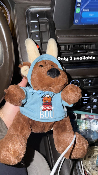 Bou bear winter
